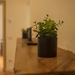 Apartment Lily House