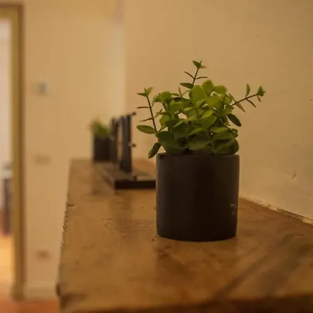 Apartament Lily House